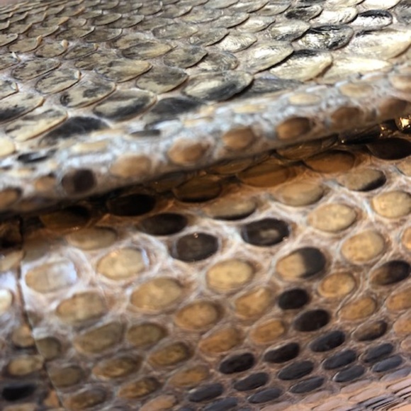 Authentic PYTHON bag by Luella - Picture 7 of 7